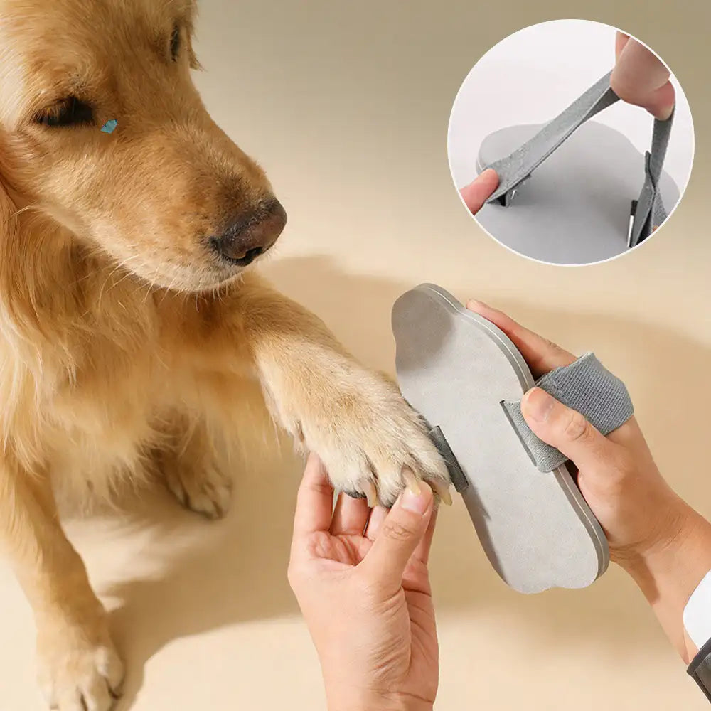 Tragbares Hundekratzbrett