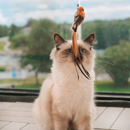 🐱2 KAUFEN, VERSANDKOSTENFREI❤️Interaktives Vogel-Simulations-Katzenspielzeug-Set