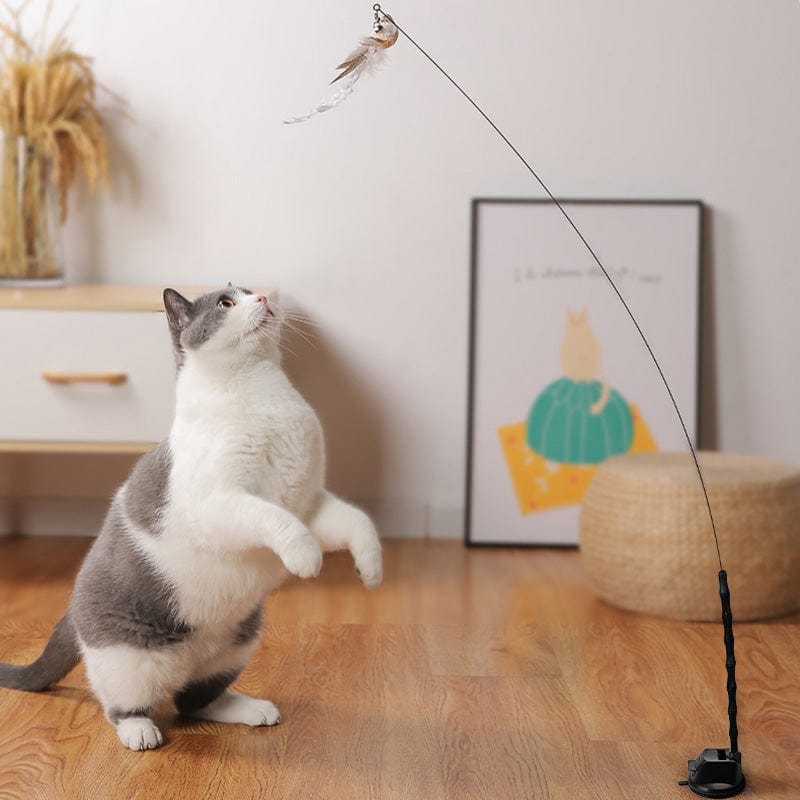 🐱2 KAUFEN, VERSANDKOSTENFREI❤️Interaktives Vogel-Simulations-Katzenspielzeug-Set
